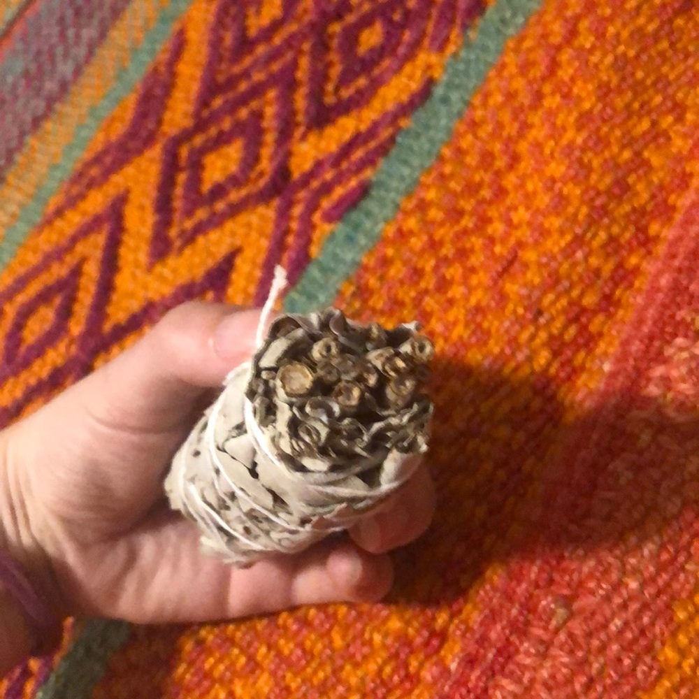 ☀️3/$25 Sage From Peru - Picture 3 of 4